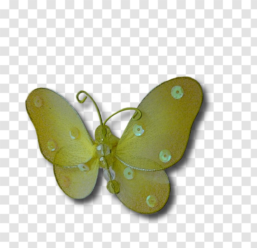 Moth - Invertebrate - Papillon Transparent PNG