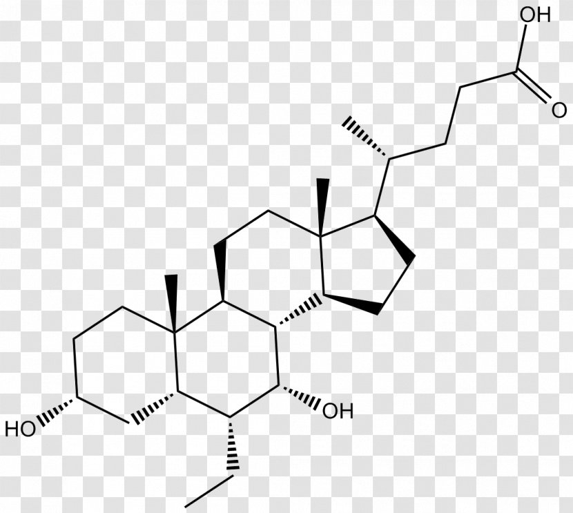 Farnesoid X Receptor Obeticholic Acid Chenodeoxycholic Hormone - Triangle - Hyaluronic Transparent PNG