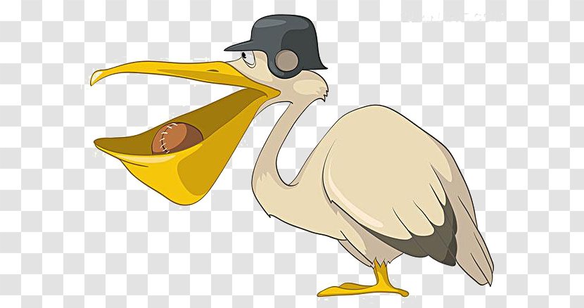 Pelican Bird Cartoon Illustration - Wing - Mouth Duck Material Transparent PNG