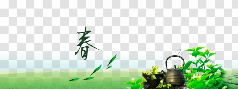 Tea Taobao Shop Tmall Advertising - Grass - Shops Posters Transparent PNG