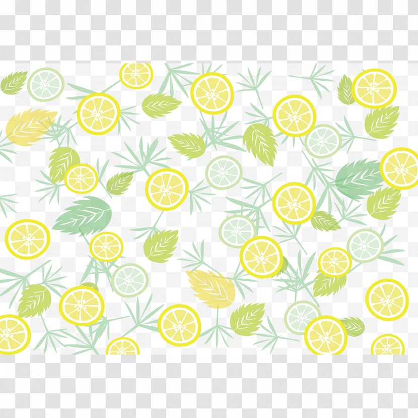 Line Point Floral Design Pattern - Area Transparent PNG