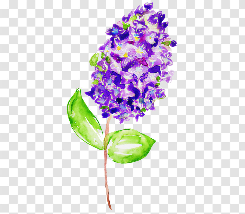Flower Purple Violet Plant Lilac Transparent PNG