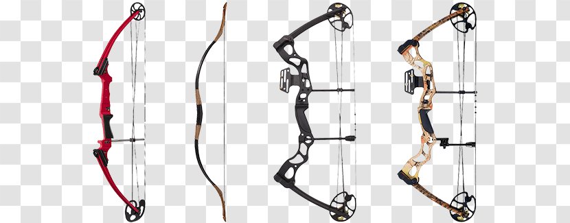 Compound Bows Bow And Arrow Bear Archery - Genesis Equipment Transparent PNG