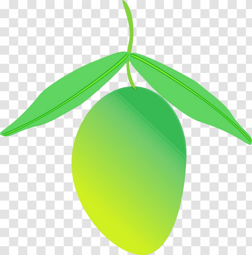 Green Leaf Background - Plant Fruit Transparent PNG