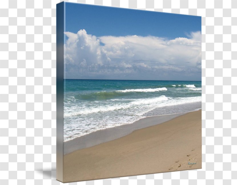 Shore Caribbean Sea Beach Wave - Picture Frames - Seascape Transparent PNG