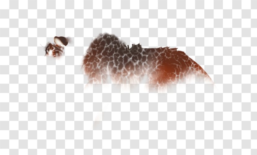 Organism Wildlife Animal Snout Fur - Crackle Transparent PNG