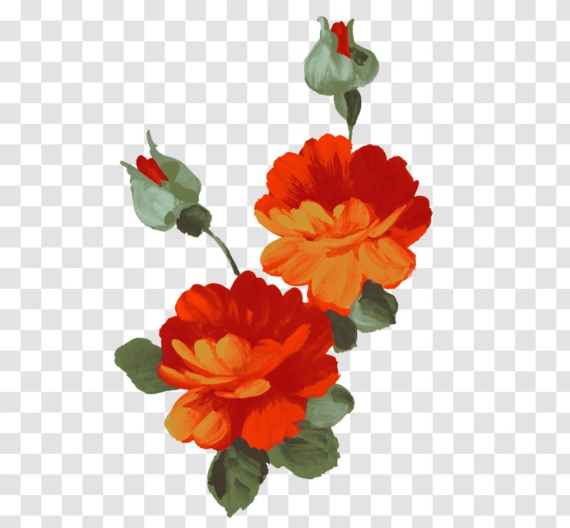 Illustration Flower - Petal - Begonia Transparent PNG