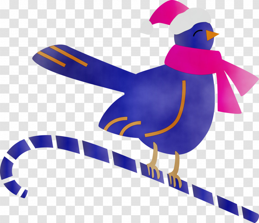 Bird Beak Flightless Bird Transparent PNG