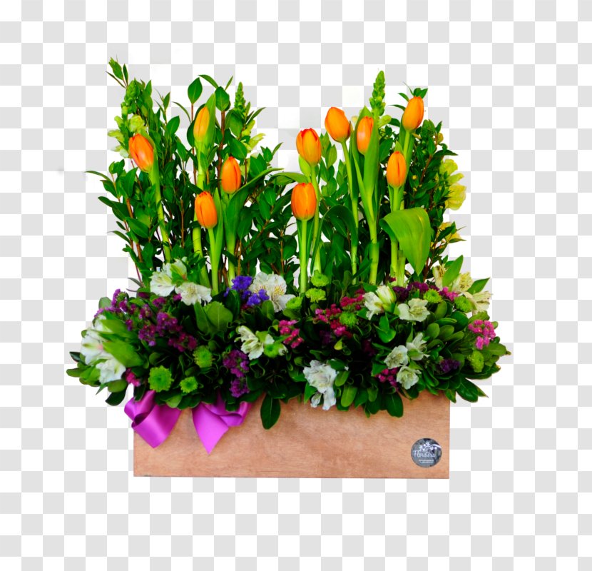 Floral Design Flower Bouquet Floristry Cut Flowers - Transvaal Daisy Transparent PNG