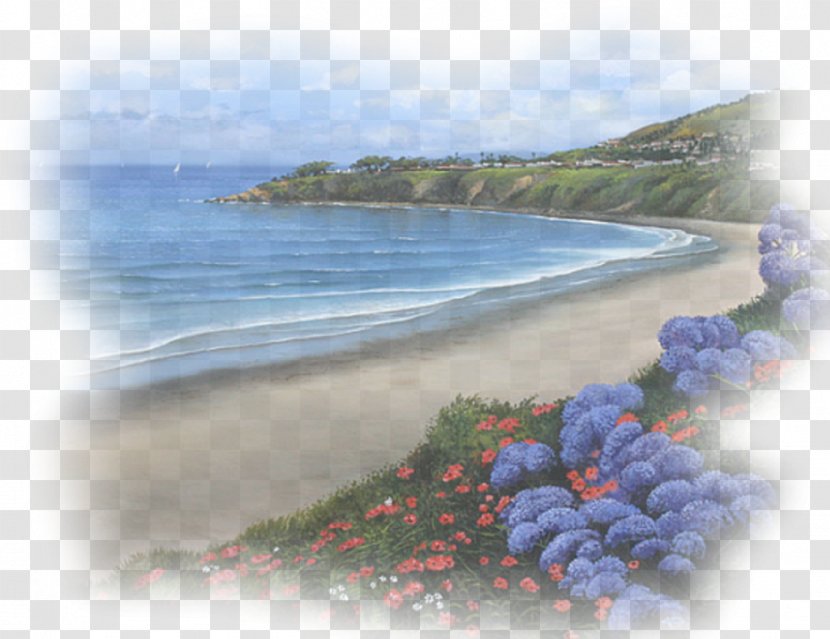 Landscape Sea Nature Desktop Wallpaper Transparent PNG