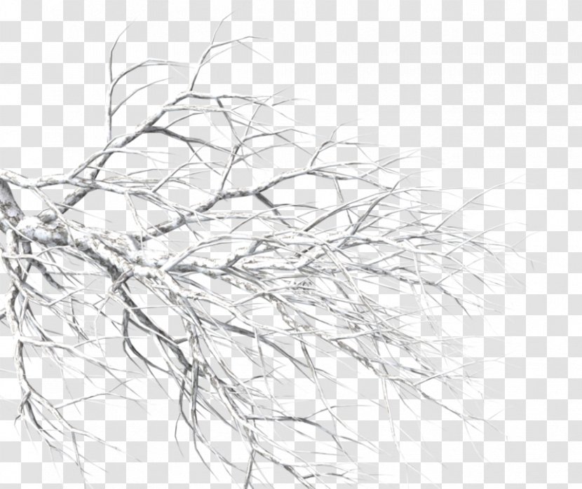 Snow Branch Image Tree Transparent PNG