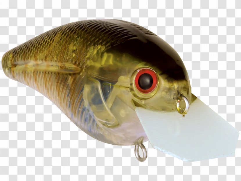 Oily Fish Perch AC Power Plugs And Sockets - Fishing Lure - Largemouth Bass Transparent PNG
