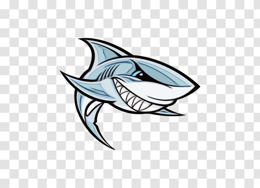 Shark - Logo - Lamnidae Transparent PNG