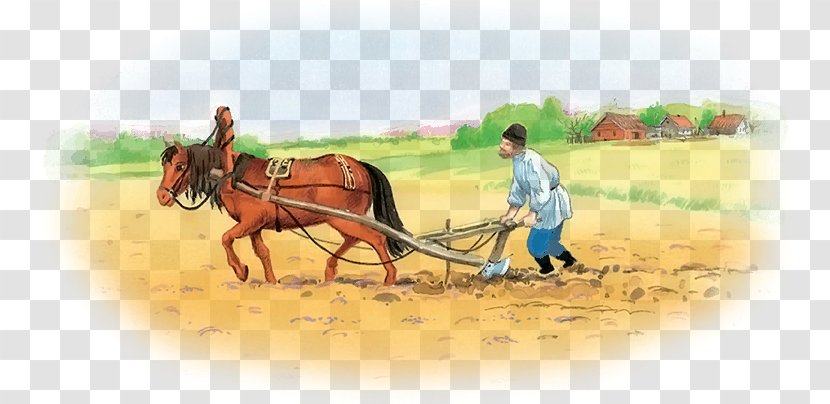Book Short Story Fairy Tale Horse Reading - Conte Transparent PNG