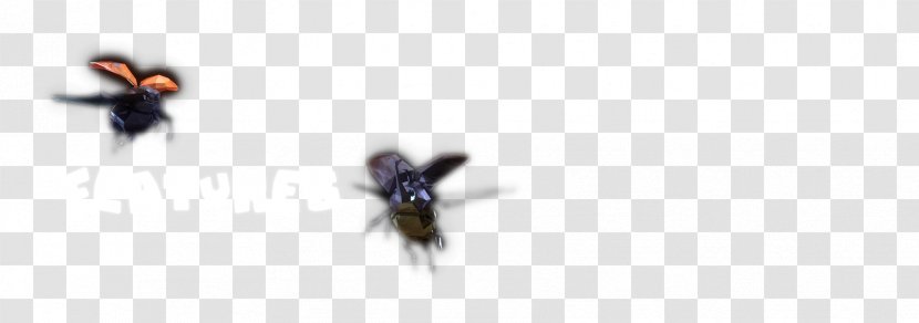 Insect Line Transparent PNG