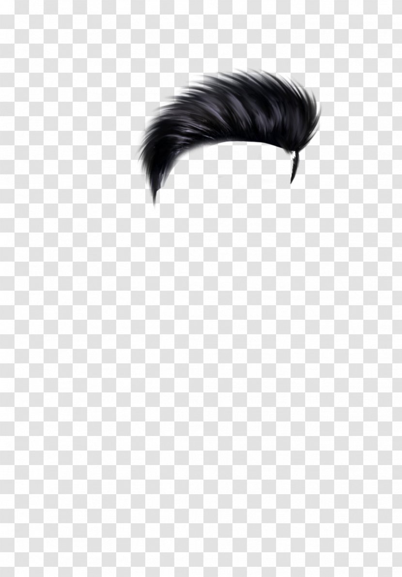 Feather Neck Black M Transparent PNG