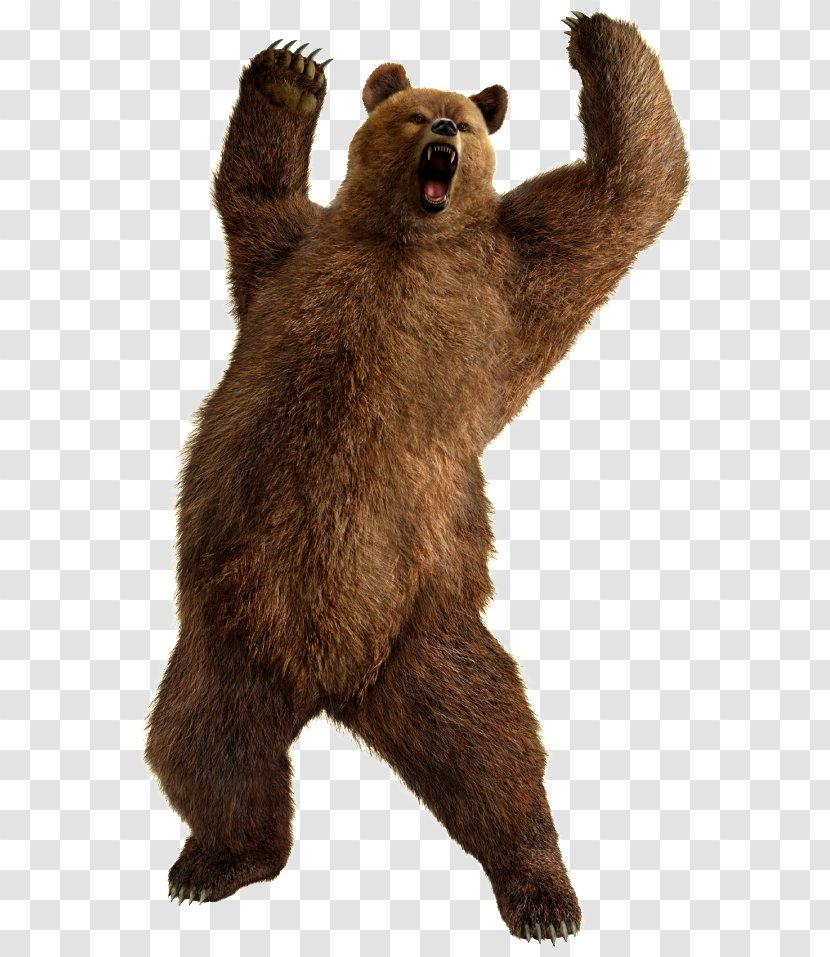 Tekken 6 5 Street Fighter X 3 - Grizzly Bear Transparent PNG