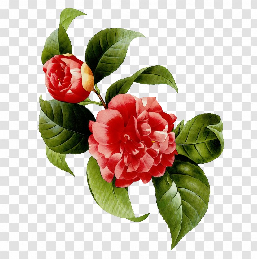 Artificial Flower - Plant - Branch Transparent PNG