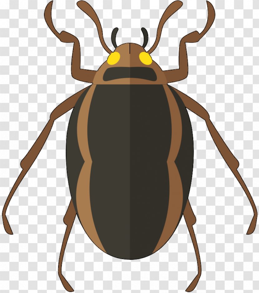 Vector Graphics Cockroach Image Clip Art Beetle - Weevil Transparent PNG