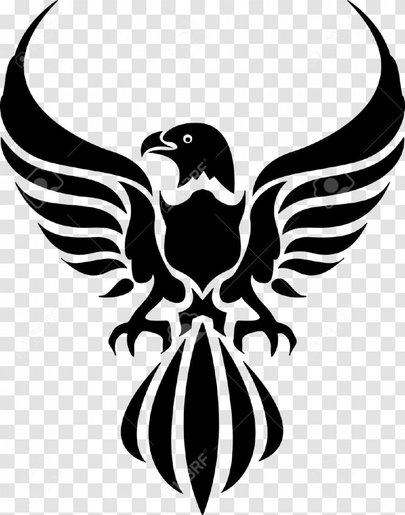 Phoenix Bird - Eagle - Falconiformes Emblem Transparent PNG