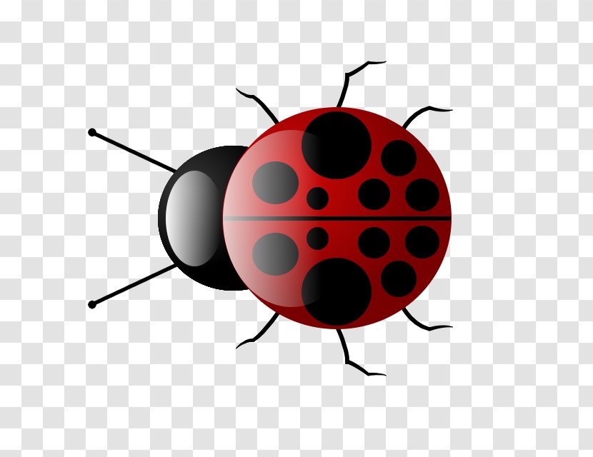Insect Ladybird Drawing - Red - Bugs Transparent PNG