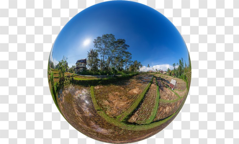 Panoramic Photography Camera Lens Fisheye - Panorama - Rice Field Transparent PNG