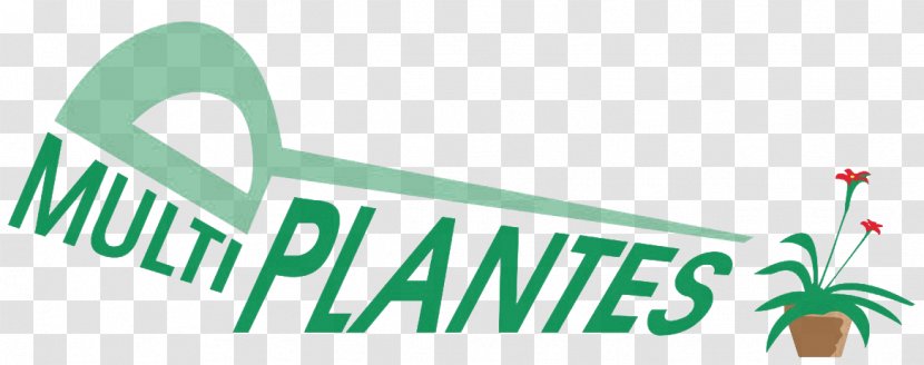 Multiplantes Logo Brand Product Design - Cactus - Green Transparent PNG