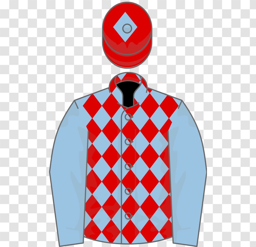 Pajamas Ringella Horse Irish Flat Racing Champion Jockey T-shirt - Meydan Racecourse Transparent PNG