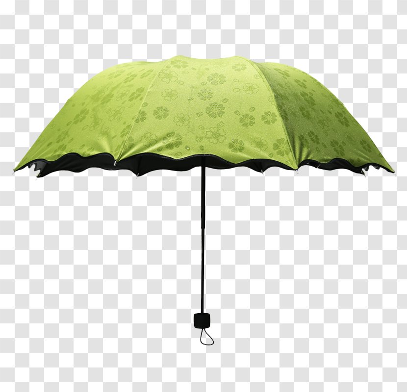 Umbrella Auringonvarjo - Data - Green Umbrellas Transparent PNG