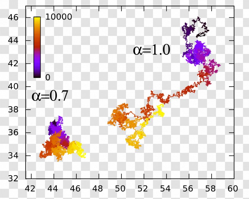 Anomalous Diffusion Brownian Motion Random Walk Statistical Physics - Flower Transparent PNG