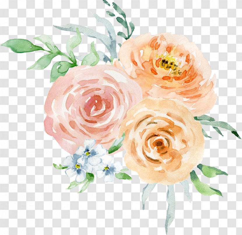Garden Roses Floral Design Watercolour Flowers Watercolor: Watercolor Painting - Peach Transparent PNG