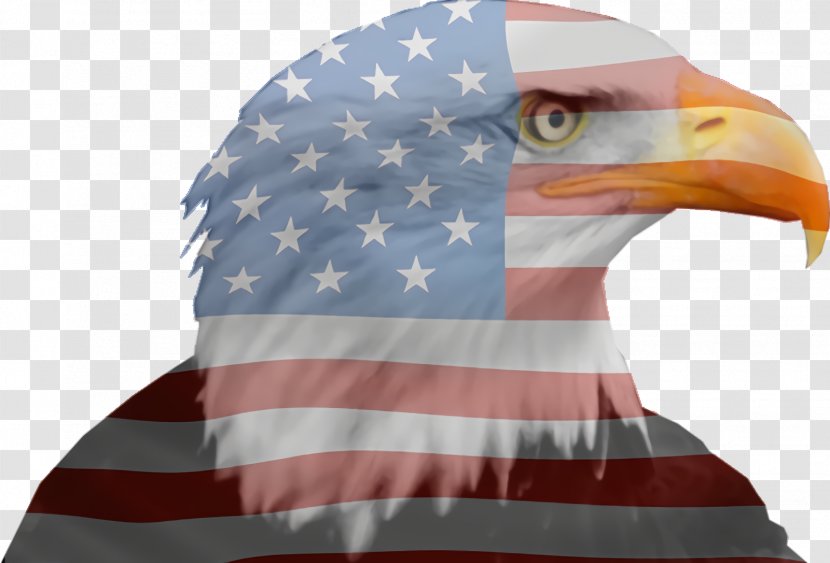 Veterans Day American Flag - Cap Falconiformes Transparent PNG