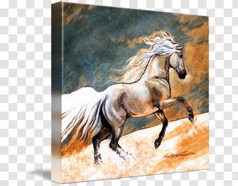 Andalusian Horse Mustang Mane Stallion Mare - Coasters Transparent PNG