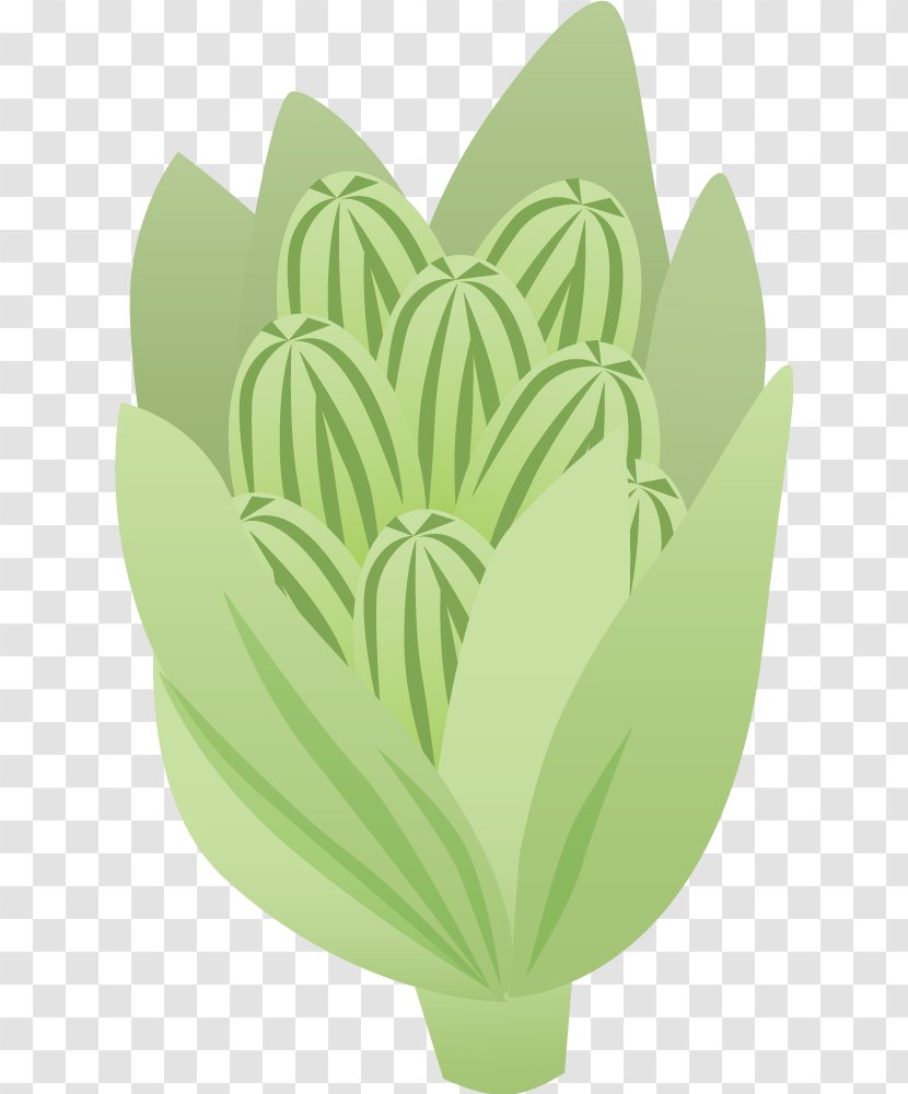 Fuki Vegetable Olericulture Sansai Illustration - Green - Painted Vegetables Transparent PNG