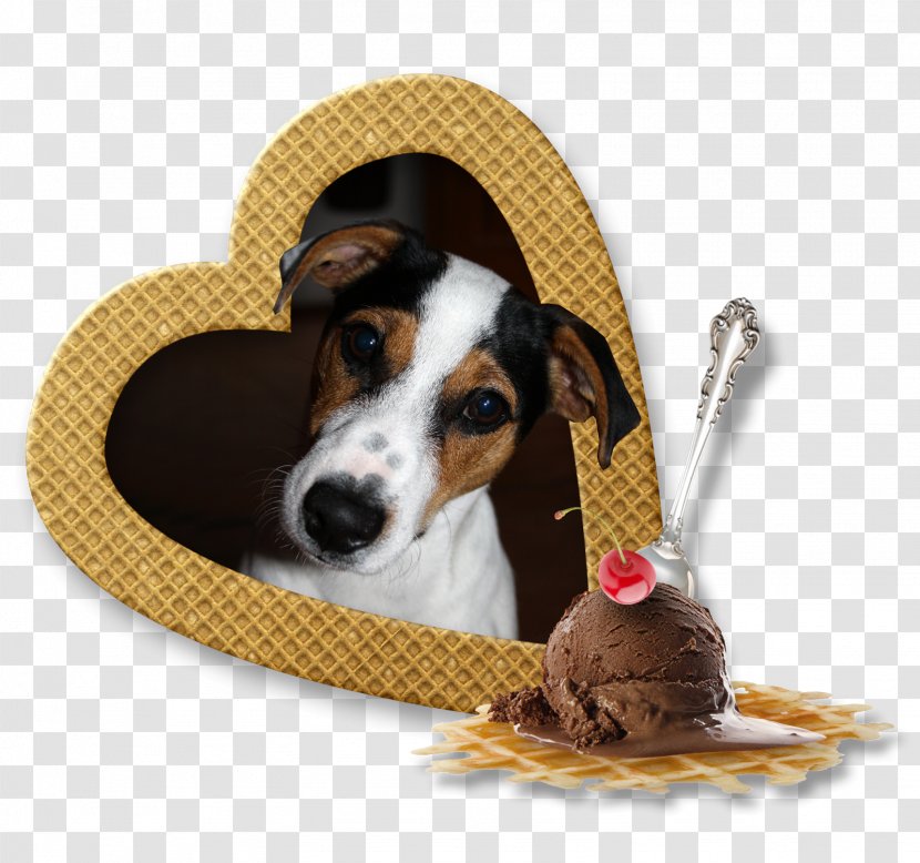 Dog Breed Treeing Walker Coonhound Black And Tan Puppy Companion Transparent PNG