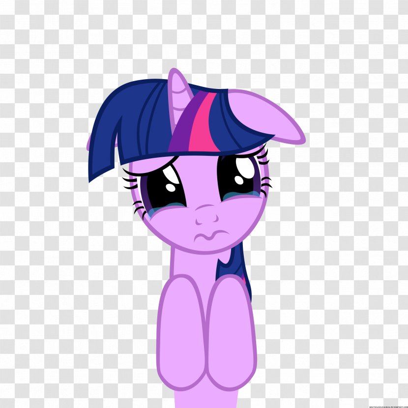 Pony Twilight Sparkle Horse Princess Luna Changeling - Frame Transparent PNG