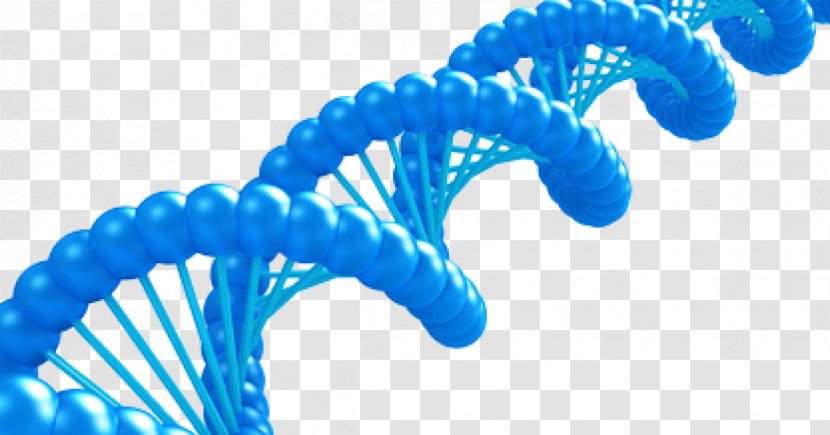 DNA Computing Stock Photography - Nucleic Acid Double Helix Transparent PNG