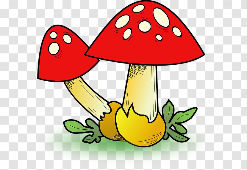 Fungus Edible Mushroom Clip Art - Artwork Transparent PNG