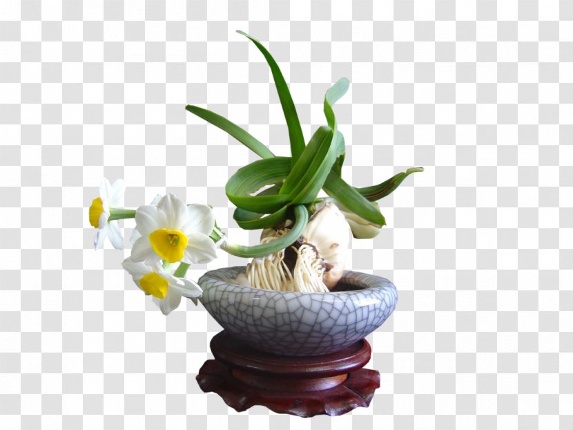 Vase Desktop Wallpaper - Plant Transparent PNG