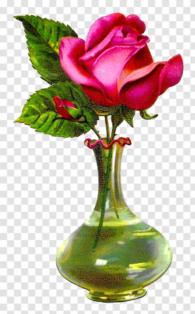 Flower Vase Garden Roses Floral Design Glass - Arranging Transparent PNG