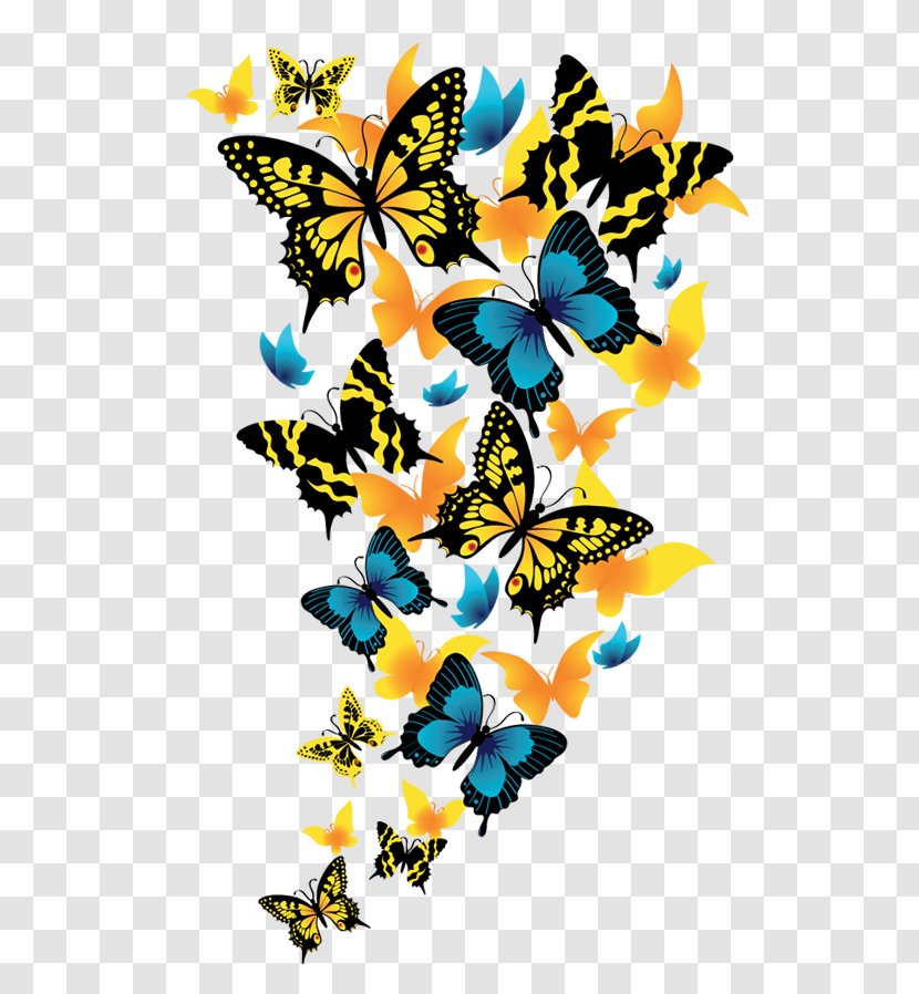 Butterfly Clip Art - Moths And Butterflies - Clipart Picture Transparent PNG