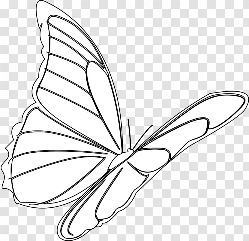 Monarch Butterfly Drawing Insect Clip Art - Monochrome Photography - Red Transparent PNG