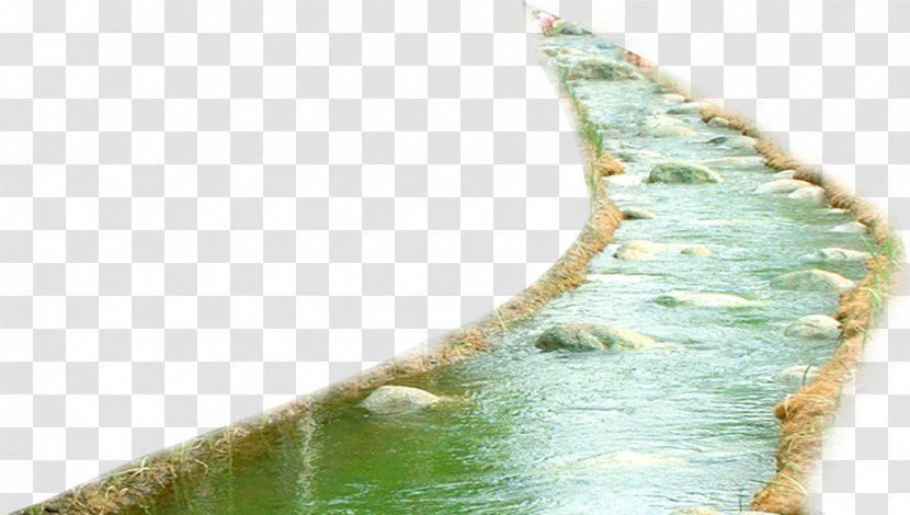 Nature Clip Art - Color - Lake Transparent PNG