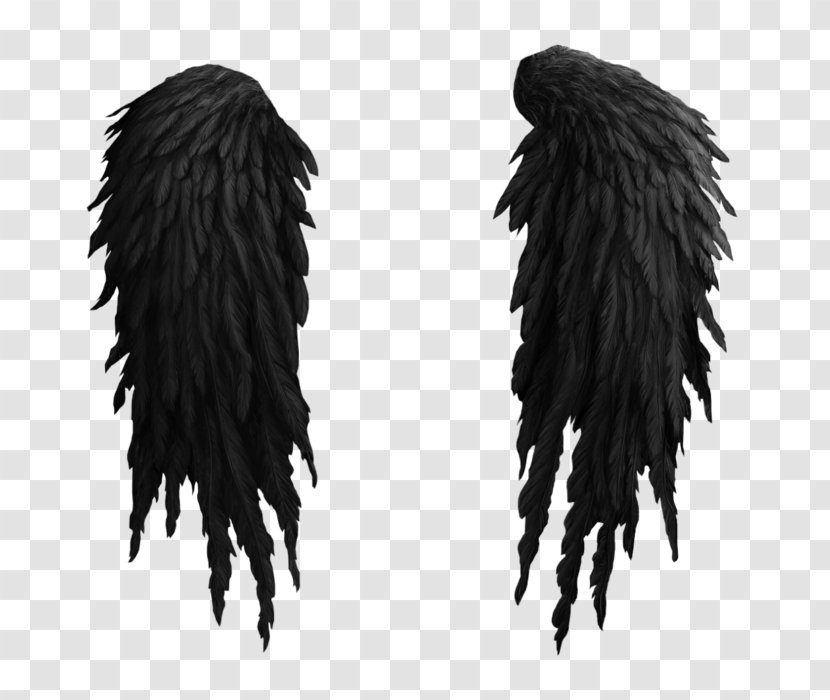 Desktop Wallpaper 1080p Aion - Black Hair - Wings Transparent PNG