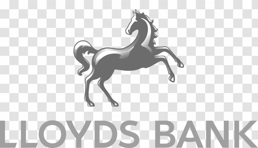 Lloyds Bank Business Finance Insurance - Rein - Logolloydsbanking Transparent PNG