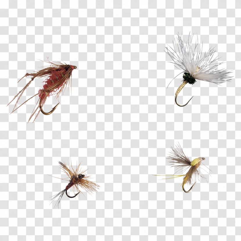 Artificial Fly Insect - Fishing Lure Transparent PNG