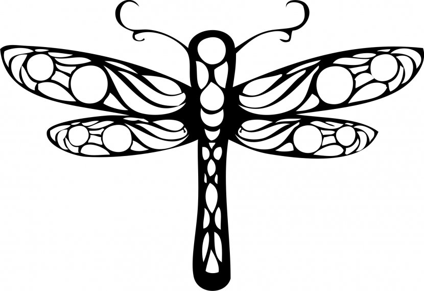 Drawing Dragonfly Clip Art - Organism Transparent PNG