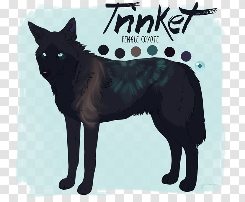 Black Cat Schipperke Whiskers Dog Breed - Carnivoran Transparent PNG