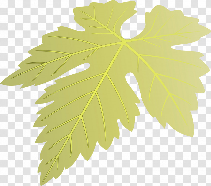 Maple Leaf Transparent PNG