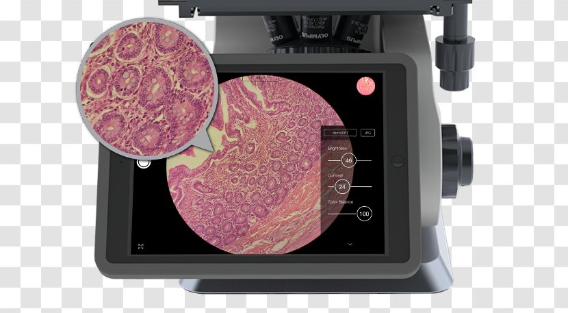 Microscope File Format JPEG Laboratory TIFF - Apple - Olympus Inverted Transparent PNG